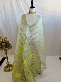 Thumbnail for ShopNaya Exclusive | Handwoven | Silk Organza | Pastel Green | Silver Zari | Ships from California