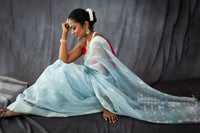 Thumbnail for ShopNaya Exclusive | Handwoven | Silk Organza | Pastel Blue & Pink | Silver Zari | Ships from California