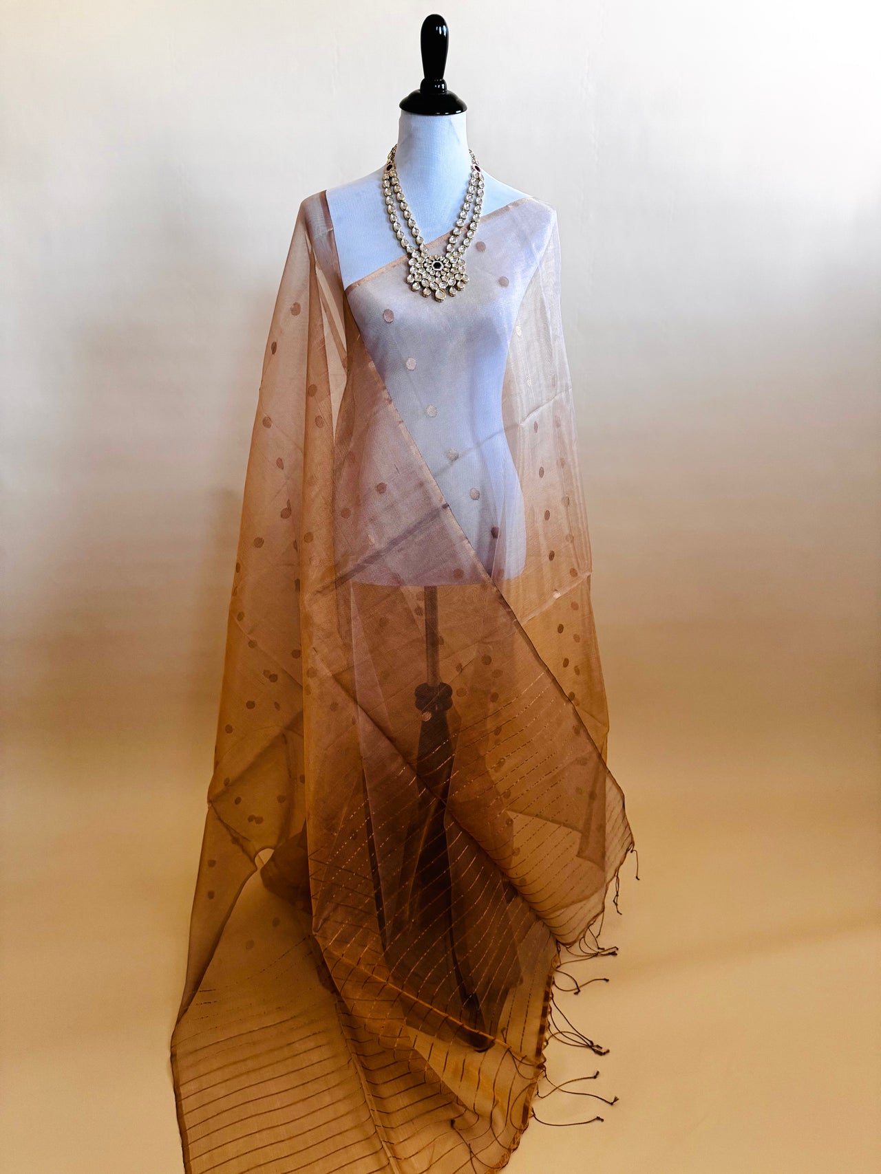 Nia - ShopNaya Exclusive | Handwoven | Silk Organza | Metallic Colors | Gold Zari | Ships from California
