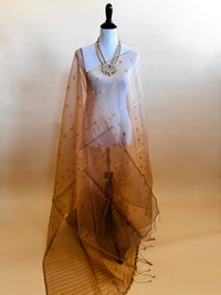 Thumbnail for Nia - ShopNaya Exclusive | Handwoven | Silk Organza | Metallic Colors | Gold Zari | Ships from California
